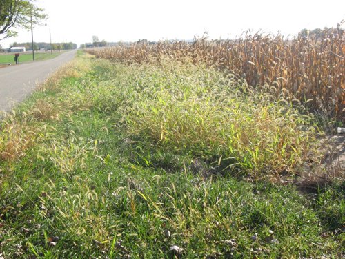 Property photo 5 - 65+/- Acres Offered in 2 Tracts